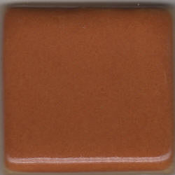 Cinnamon Stick Coyote Gloss #006