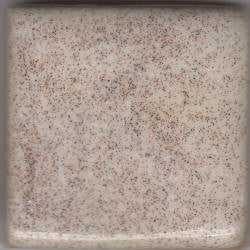 Oatmeal Coyote Gloss #048