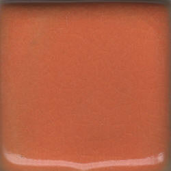 Orange Coyote Gloss #020