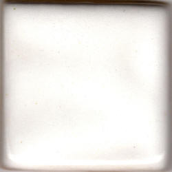 White Coyote Gloss #023