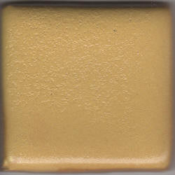 Yellow Orange Coyote Gloss #025