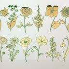 Green & Gold