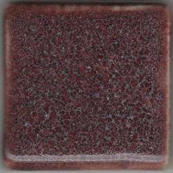 Oxblood Coyote Copper & Iron #131