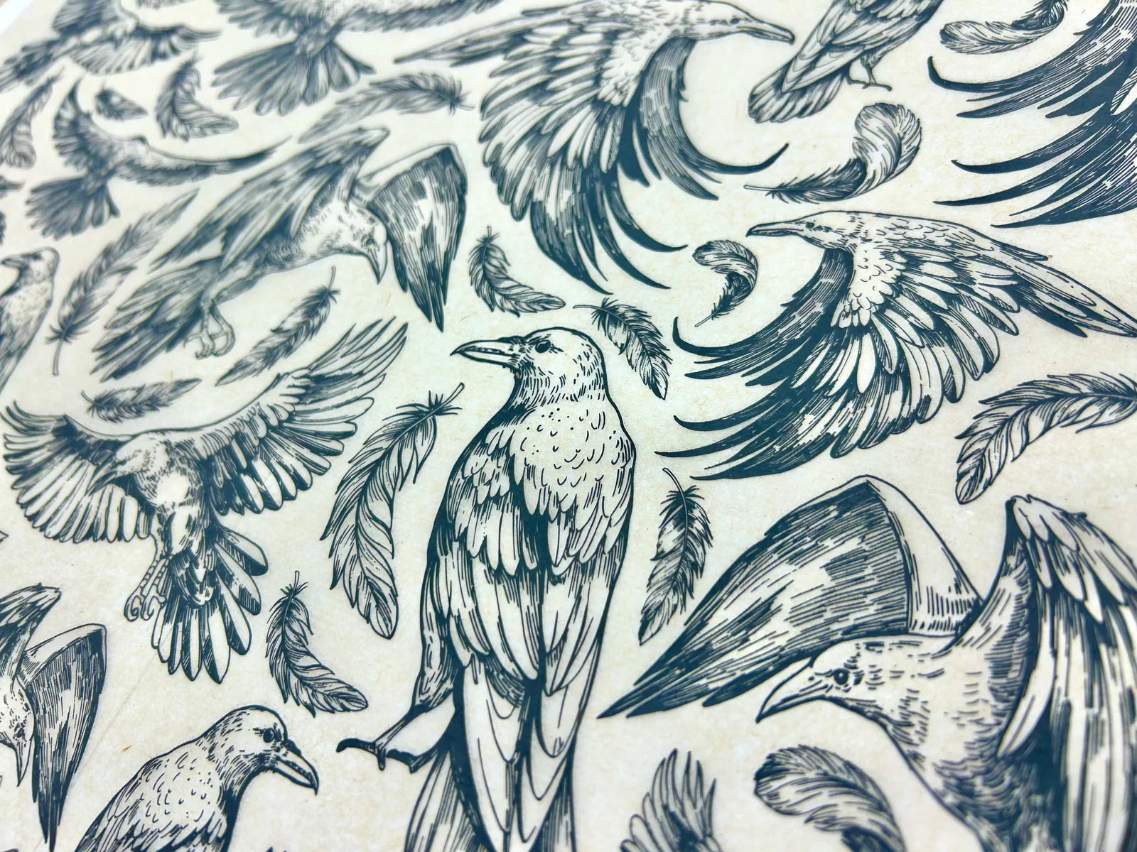 Ravens