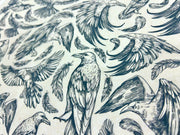 Ravens