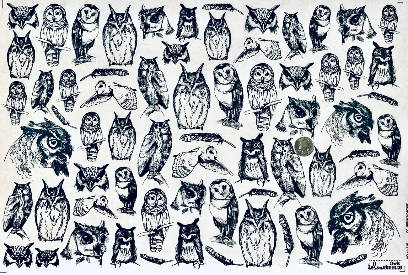 Owls Underglaze Transfer