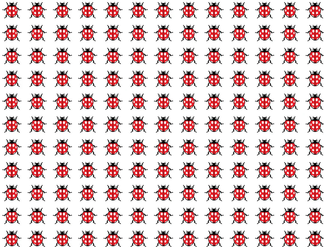 Ladybugs Decal