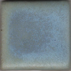 Blue Matt Coyote Matt #024