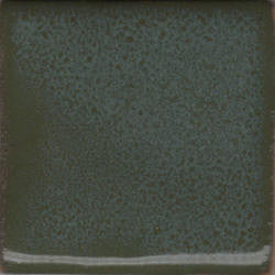 Cactus Green Coyote Mottled #004