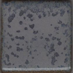 Pam's Blue Coyote Mottled #070