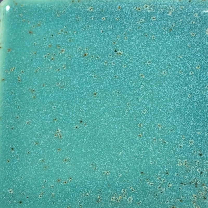 Mermaid Cove Coyote Fantasy #225