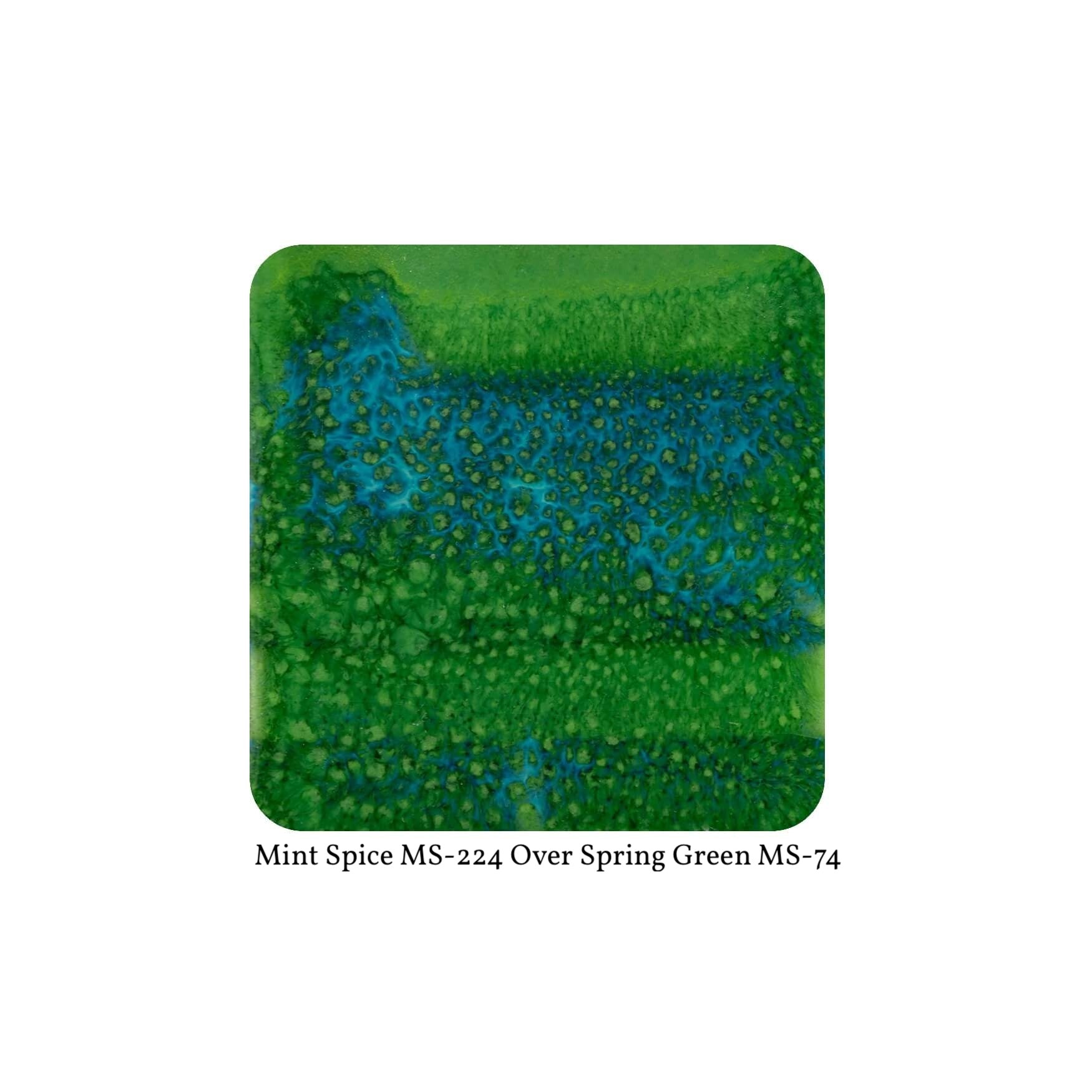 MS-224 MINT SPICE  Moroccan Fusion Glaze