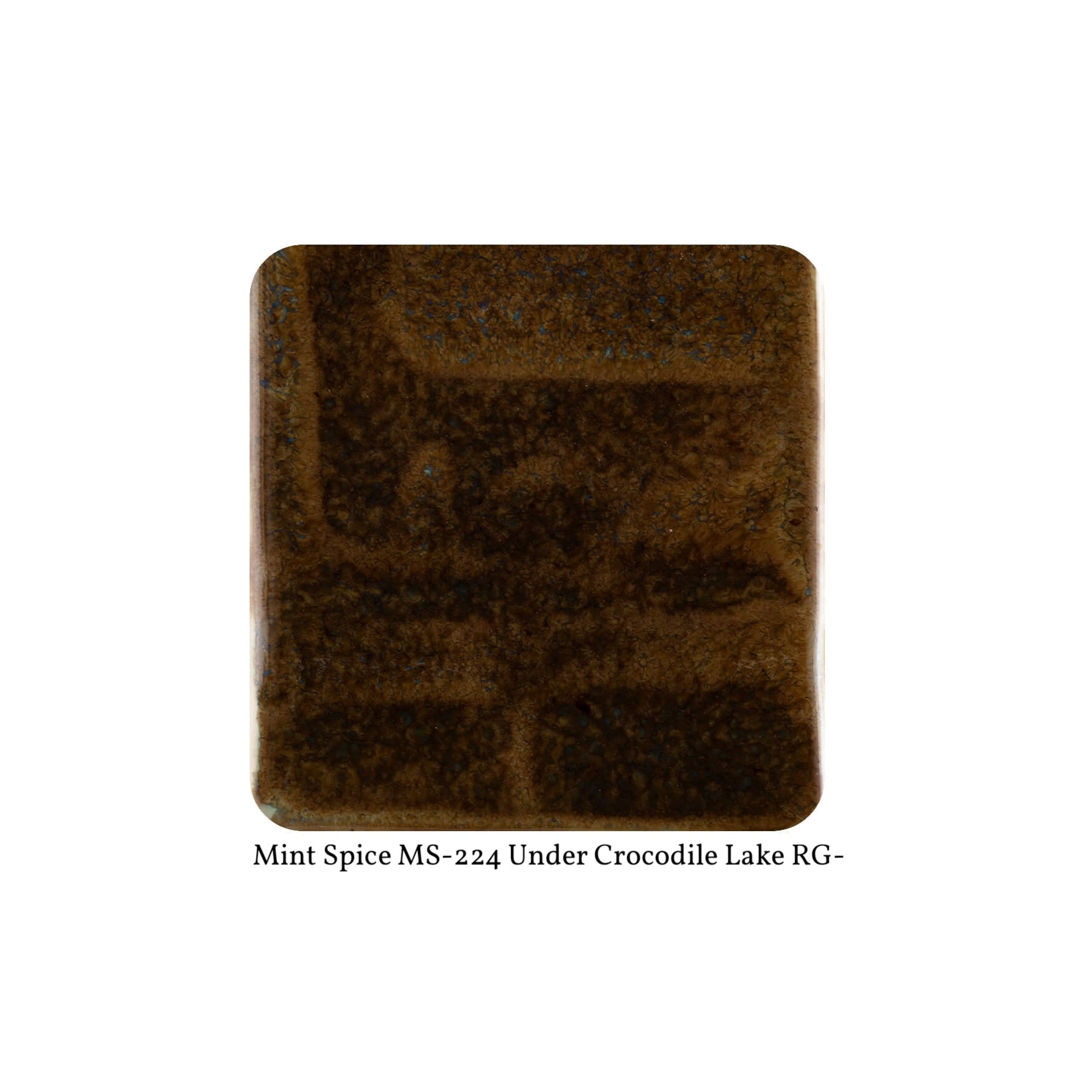 RG-8 CROCODILE LAKE  Moroccan Fusion Glaze