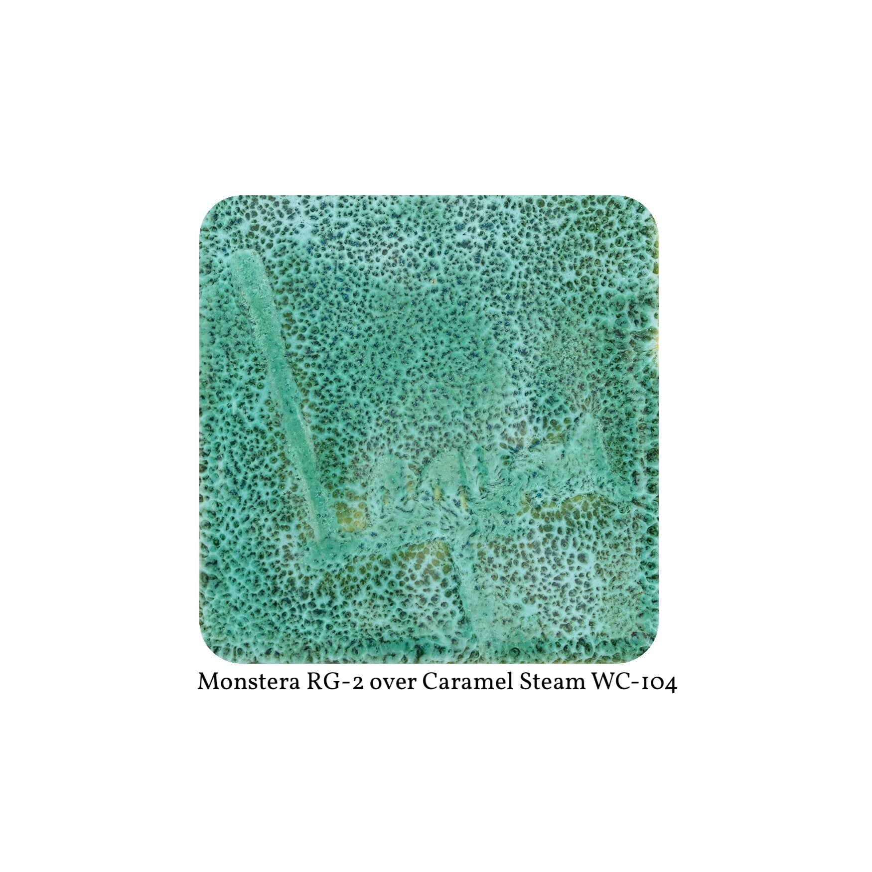 RG-2 MONSTERA  Moroccan Fusion Glaze