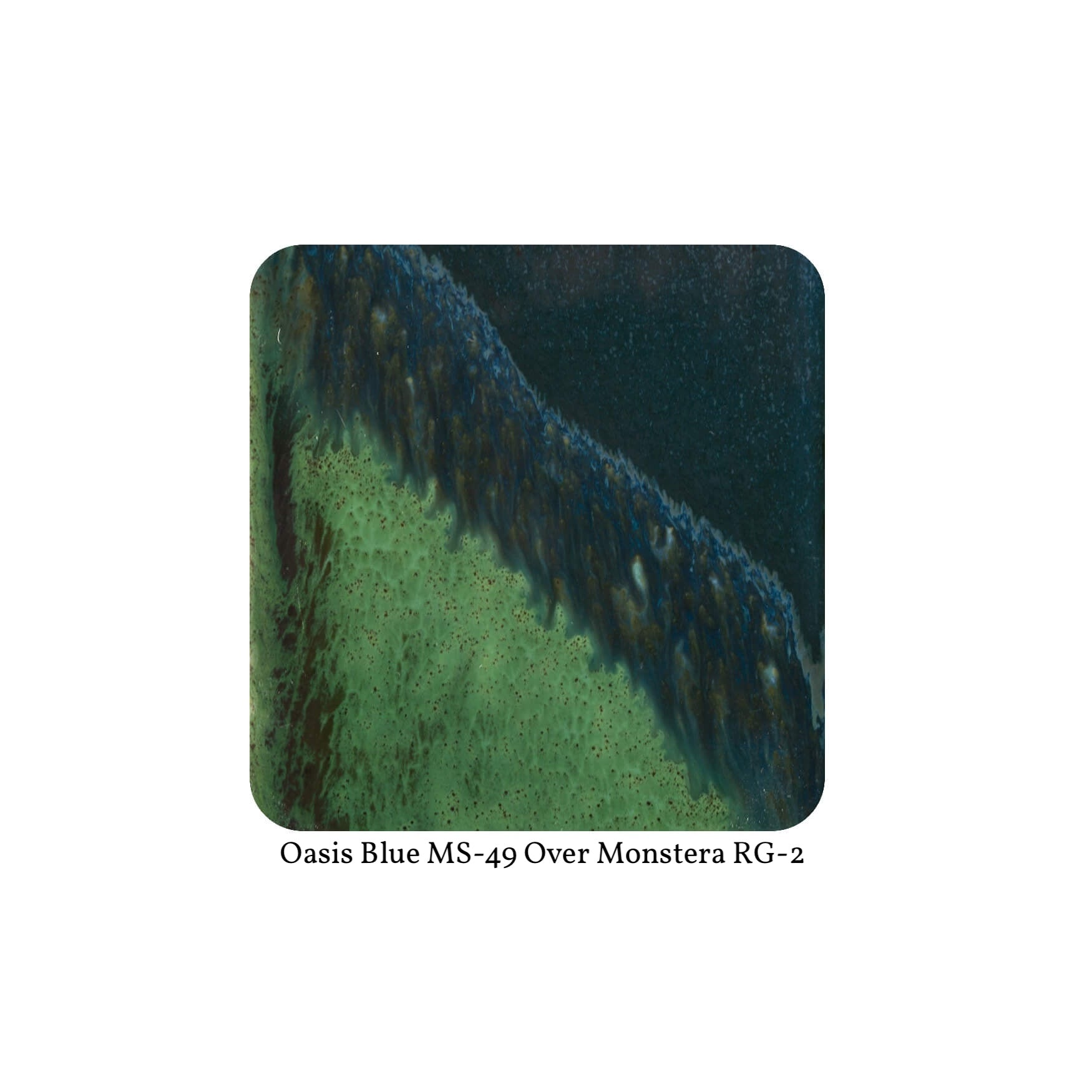 RG-2 MONSTERA  Moroccan Fusion Glaze