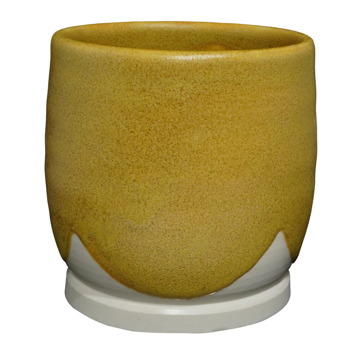 MS-15 OCHRE GLAZE