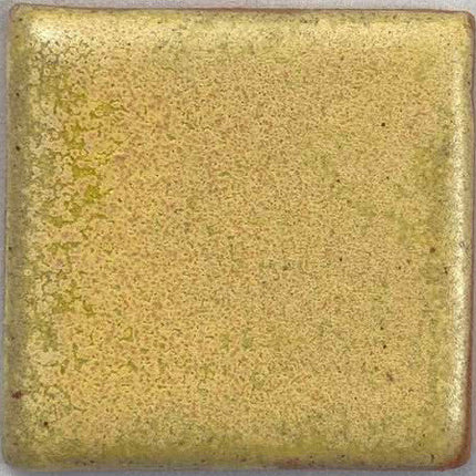 Parakeet Yellow 243