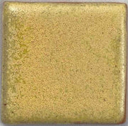Parakeet Yellow Coyote Archies #243