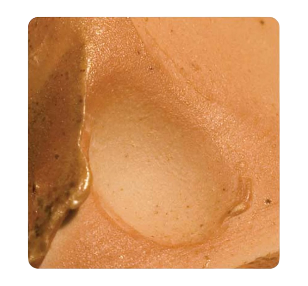Brackers Good Earth Clays
