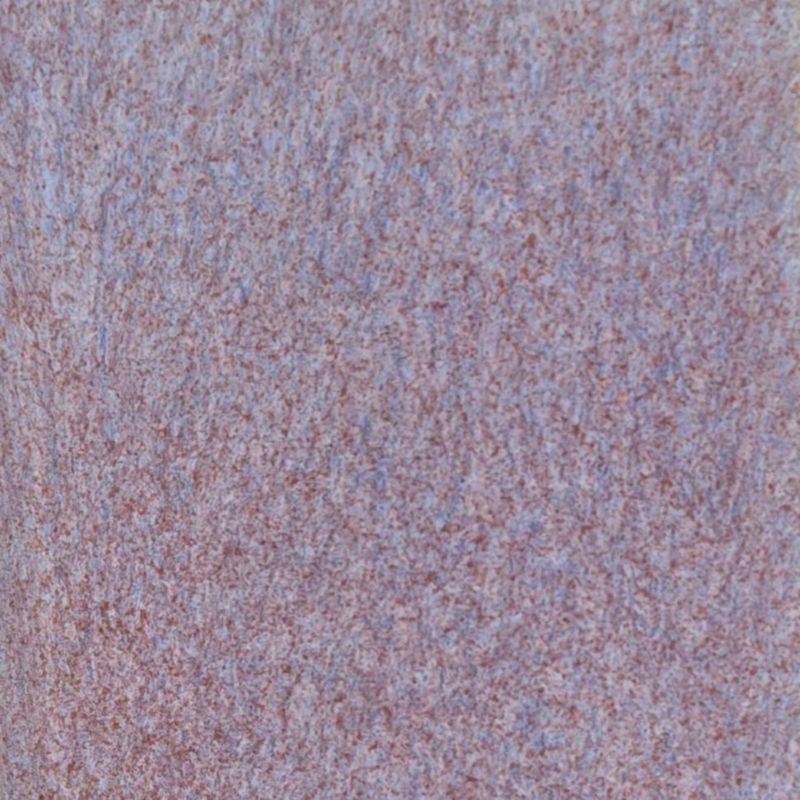 Pixie Wings Coyote Fantasy #224