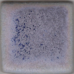 Blue Purple Coyote Archies #028