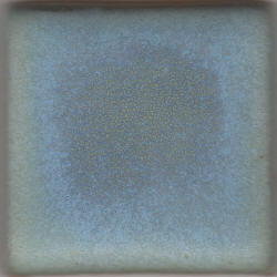 Ice Blue Coyote Archies #058