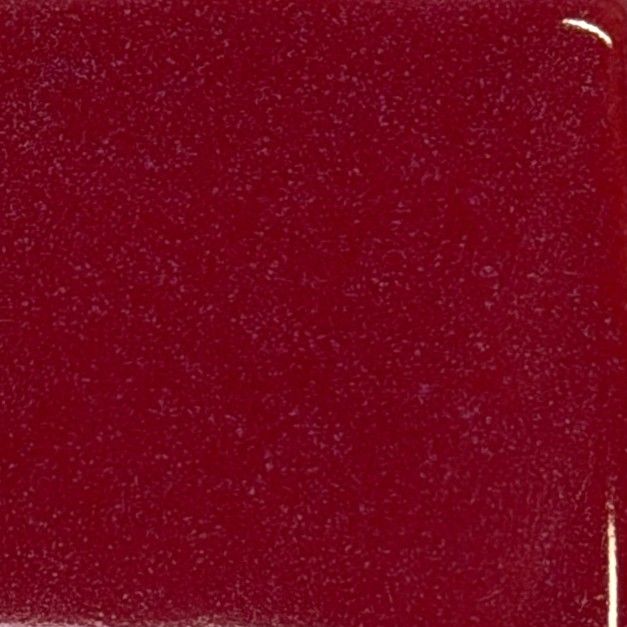 Ruby Mist Coyote Fantasy #231