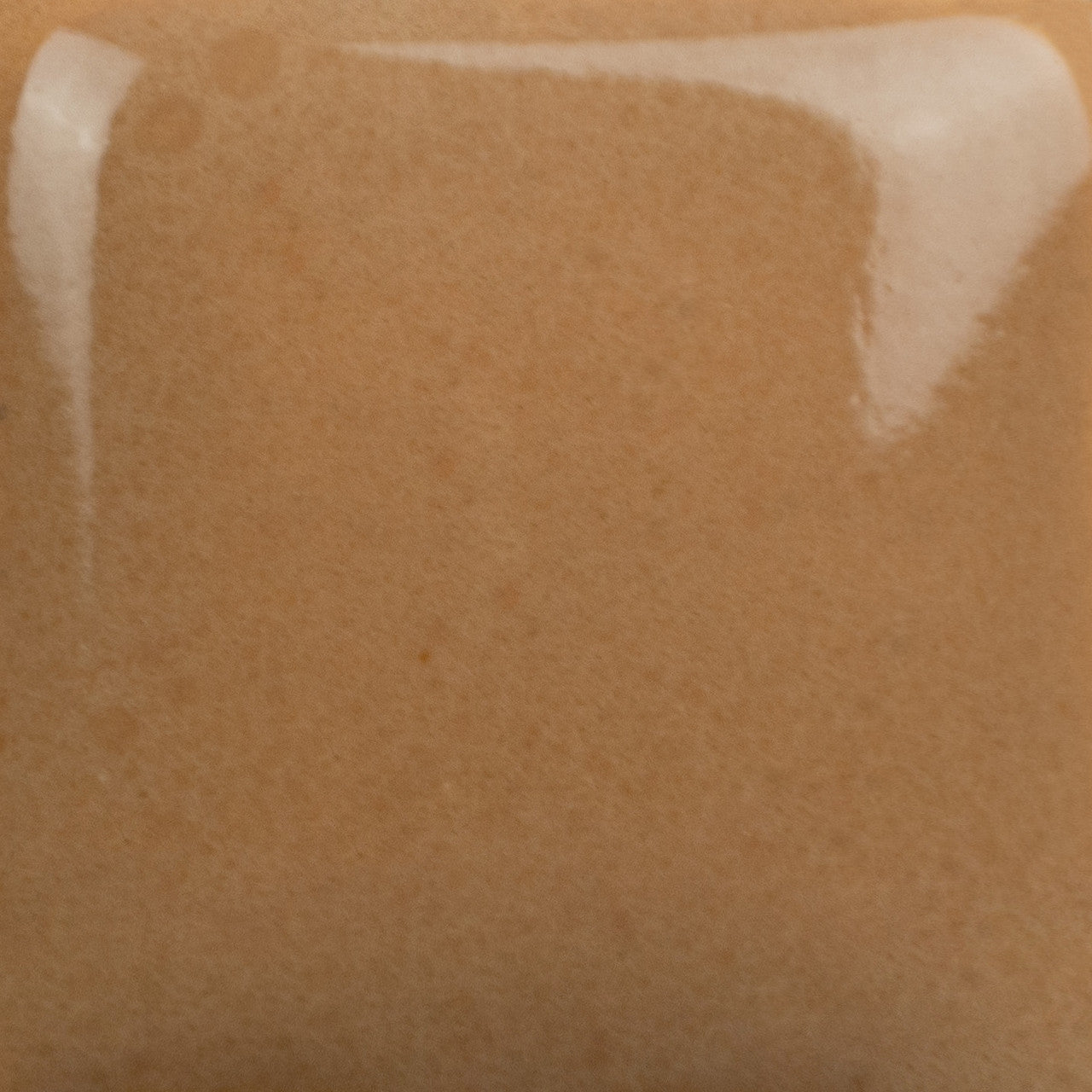 Cone 6