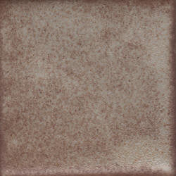 Sandstone Shino Coyote Shino #094