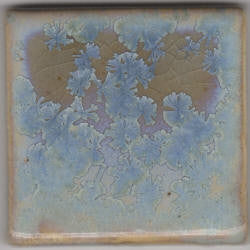 Crystal Aurora Coyote Slow Cool #163
