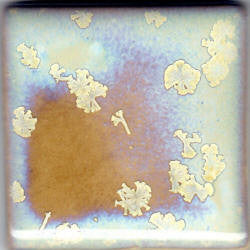 Crystal Nebula Coyote Slow Cool #164