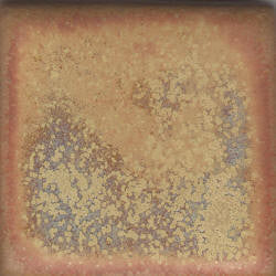 Light Gold Coyote Constellations #172