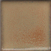 Summer Spice Coyote Constellations #173