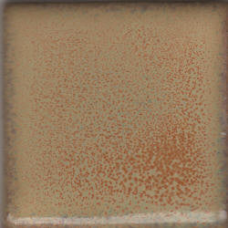Summer Spice Coyote Constellations #173