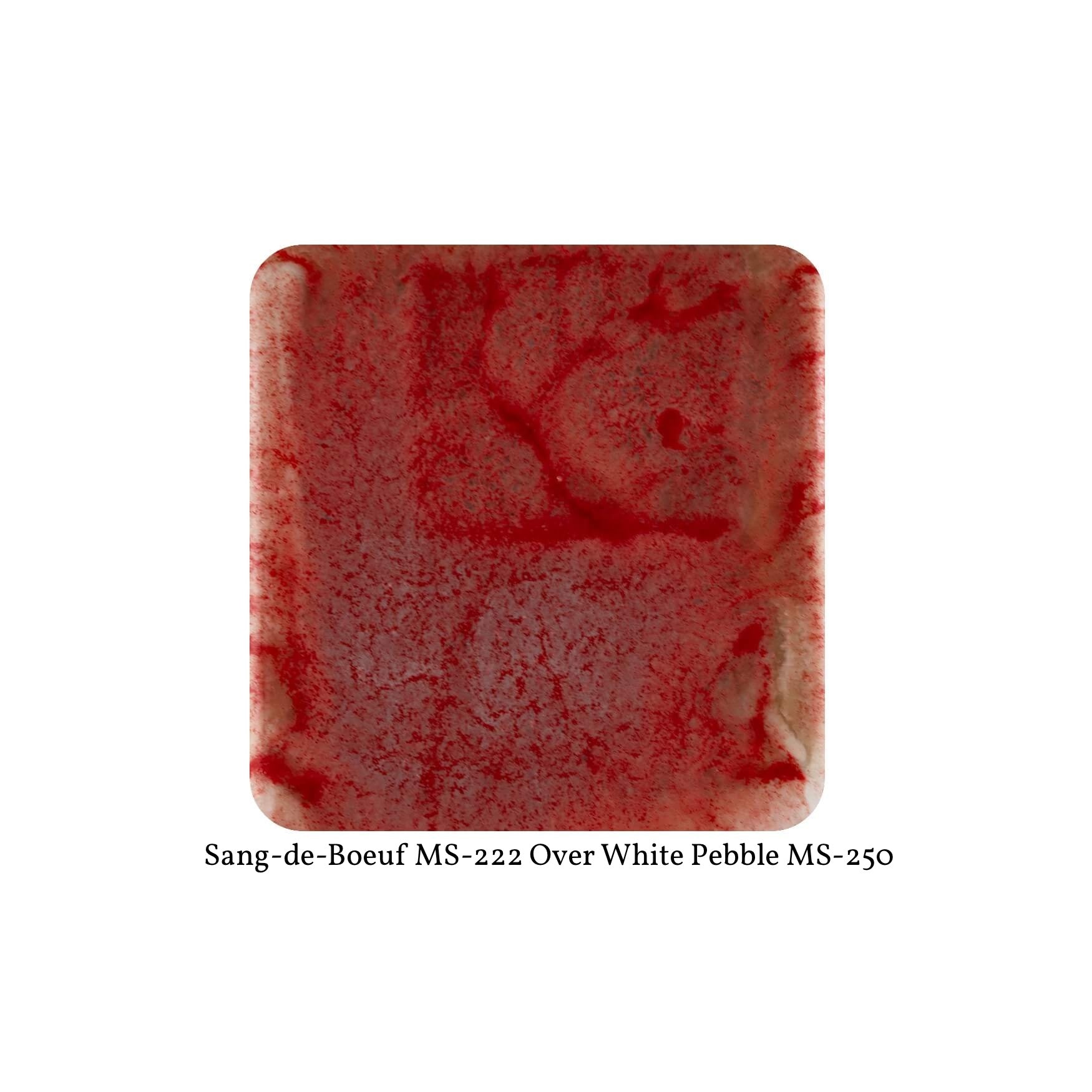 MS-222 SANG DE BOEUF  Moroccan Fusion Glaze