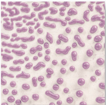 CR-54 Purple AMACO Crawl
