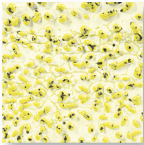 CR-61 Speckled Yellow AMACO Crawl