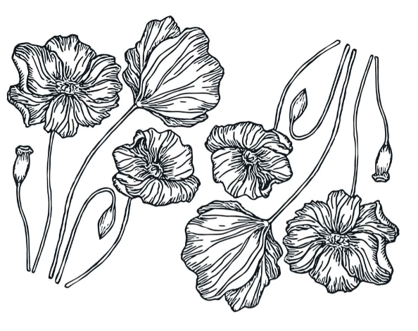 Cone 6 Poppies Decal