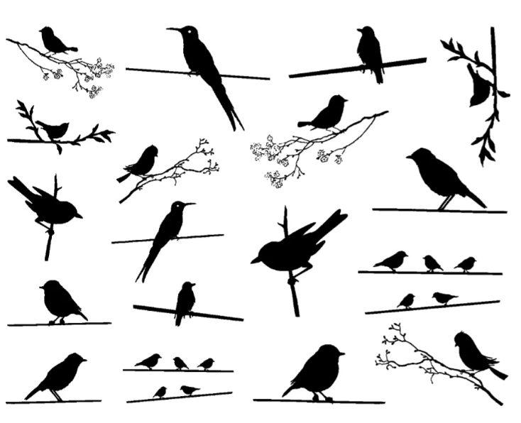 Cone 6 Birds on a Wire Decal