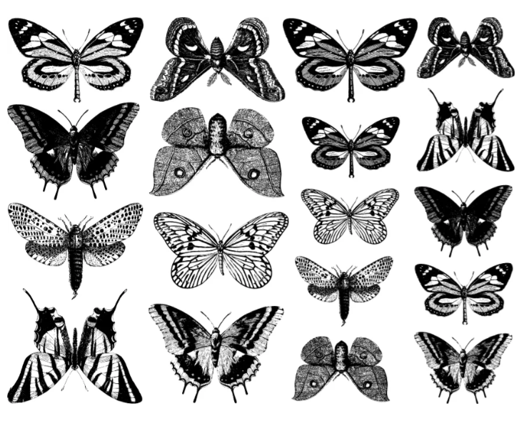 Cone 6 Small Butterfly Decal