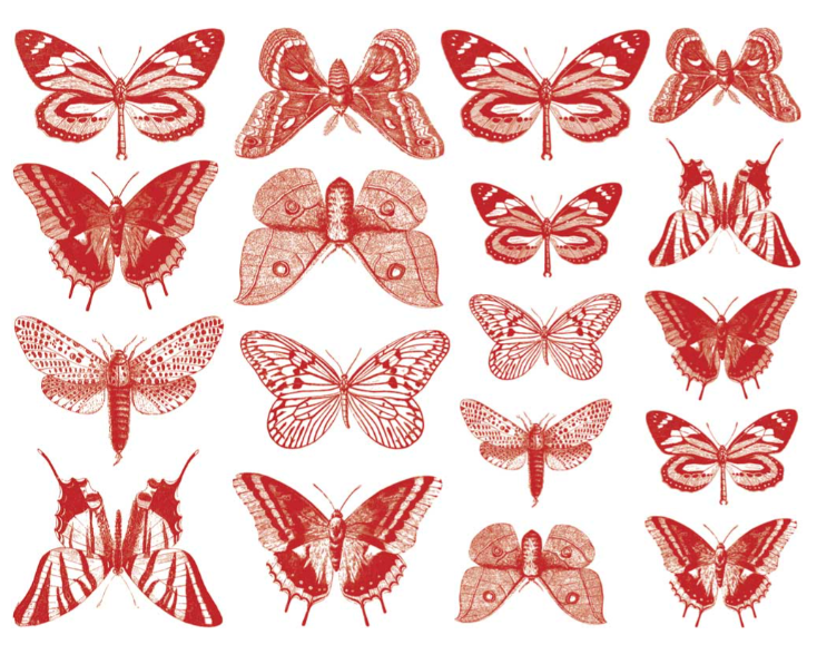 Cone 6 Small Butterfly Decal