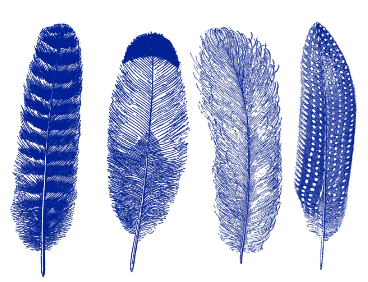 Cone 6 Feathers Decal