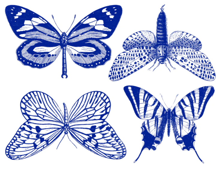 Cone 6 Large Butterfly Decal