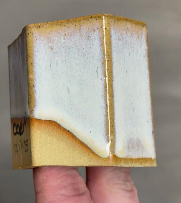 Star Dust Coyote Fantasy #222