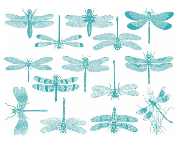 Cone 6 Dragonfly Decal