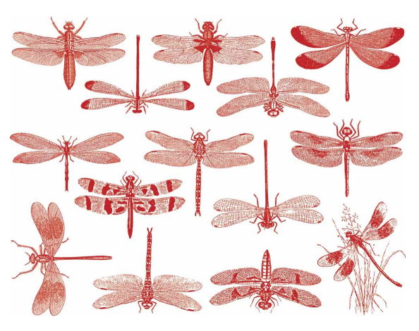 Cone 6 Dragonfly Decal