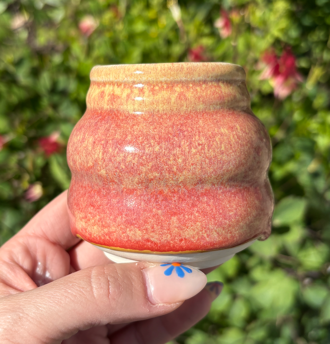 Brackers Good Earth Clays
