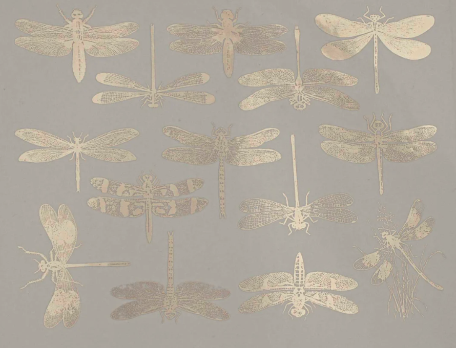 Dragonfly Decal