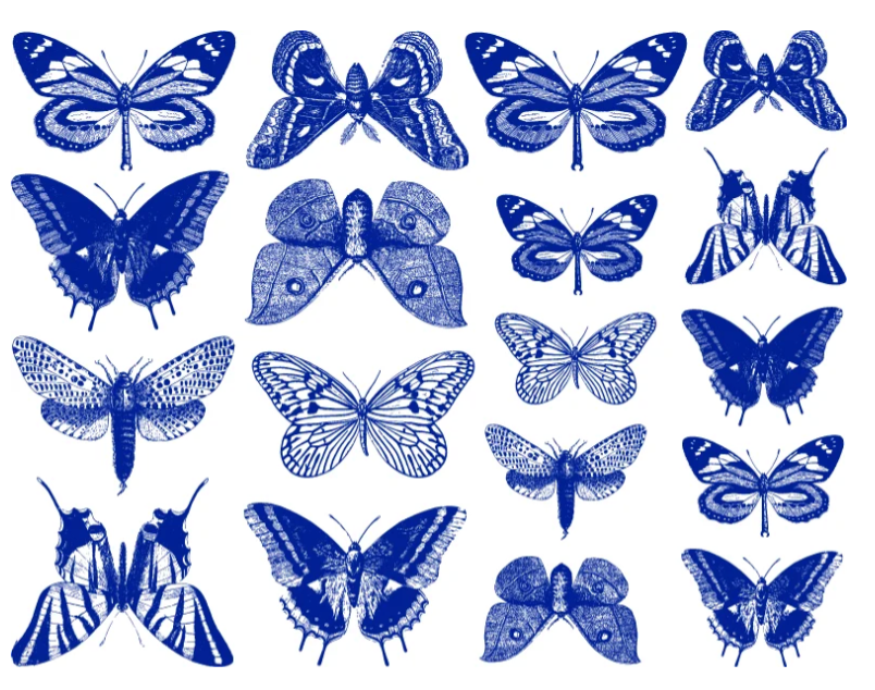 Butterflies