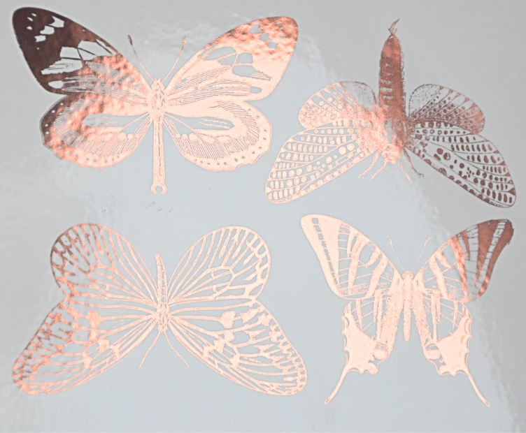 Butterflies